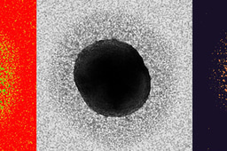 “It’s definitely not a lipid…”